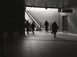 Life forms under the railway station