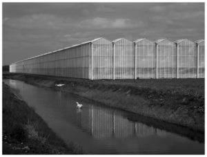 Agrarische industrie in Nederland